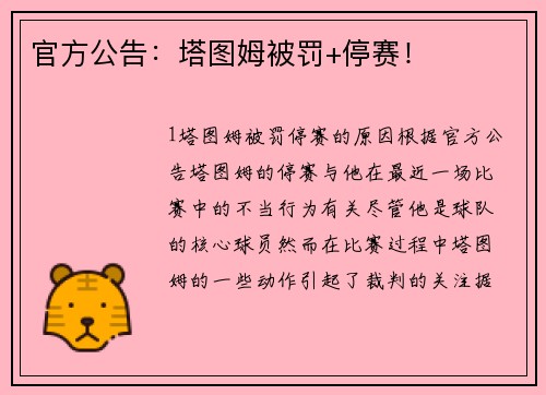 官方公告：塔图姆被罚+停赛！
